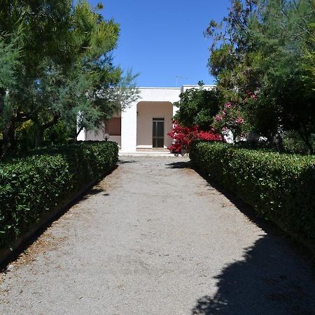 Villa Cino Punta Prosciutto Kültér fotó