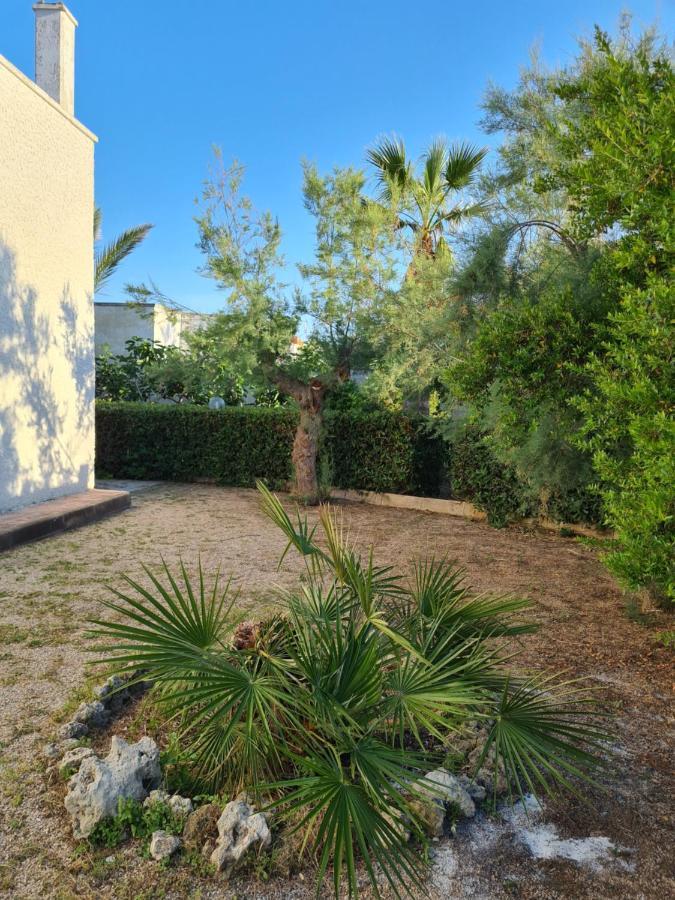 Villa Cino Punta Prosciutto Kültér fotó