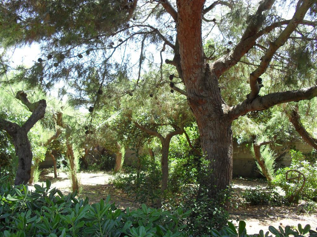 Villa Cino Punta Prosciutto Kültér fotó